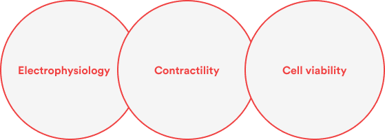 Schema triple cercle